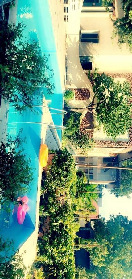 Strelets Hotel Бишкек Екстериор снимка